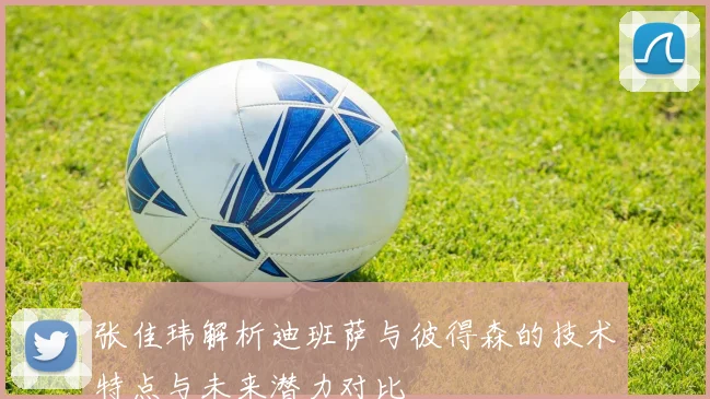 张佳玮解析迪班萨与彼得森的技术特点与未来潜力对比